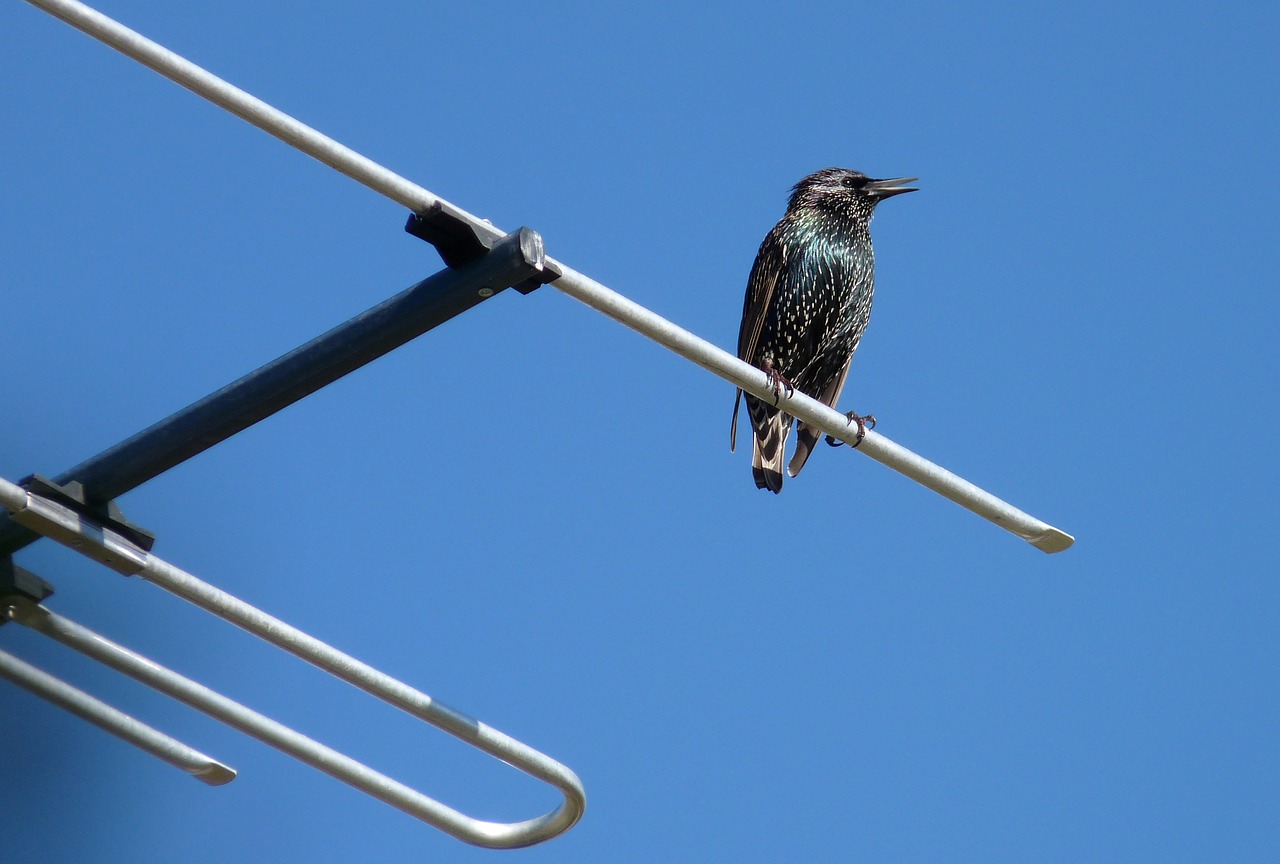 Erfahrungsbericht: MC-750